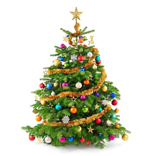 res/07-christbaum.jpg